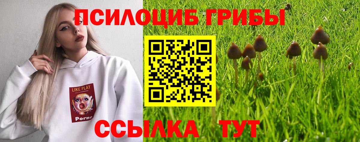 Псилоцибиновые грибы Magic Shrooms  Галлюциногенные грибы GOLDEN TEACHER  Вход с VPN  Красноперекопск 