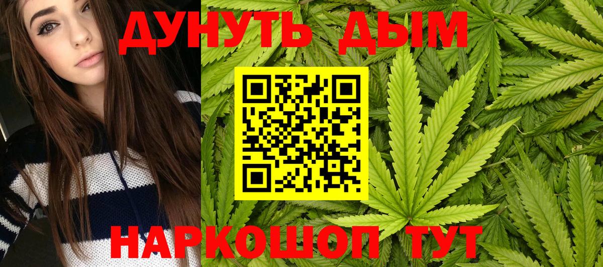Бошки марихуана конопля  Каннабис план  Красноперекопск  Вход с VPN 